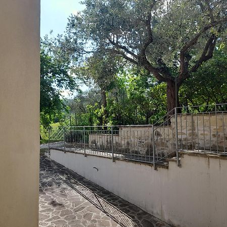 Camping Agriturist Sant'Anna Castelplanio Quarto foto