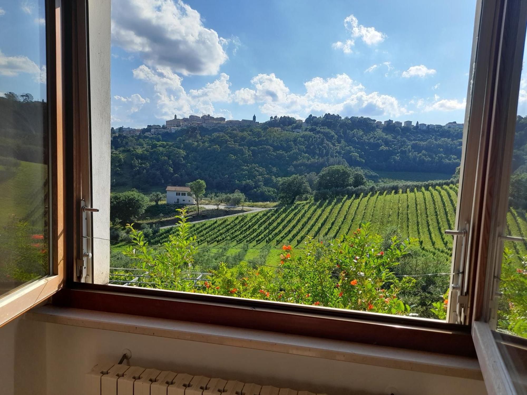 Camping Agriturist Sant'Anna Castelplanio Quarto foto