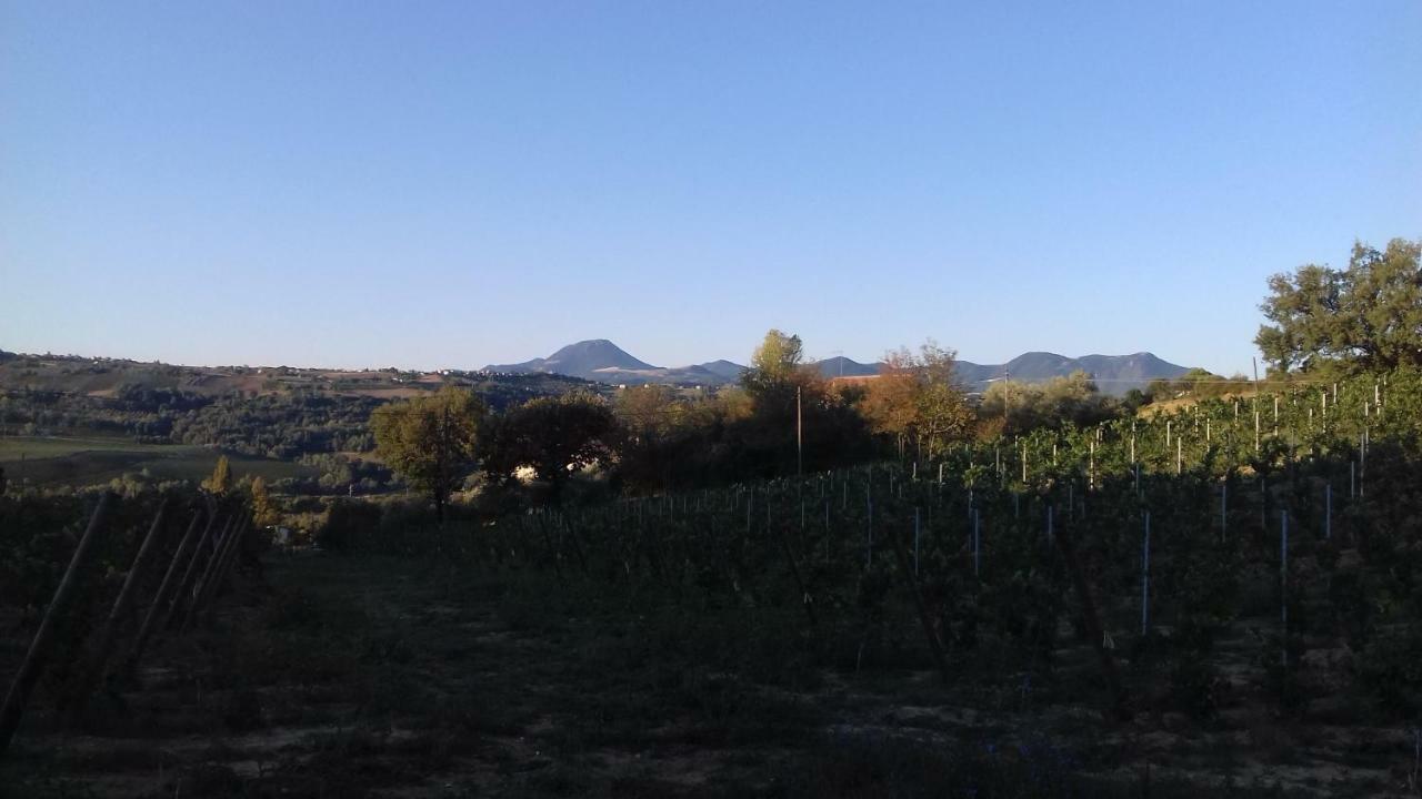 Camping Agriturist Sant'Anna Castelplanio Exterior foto